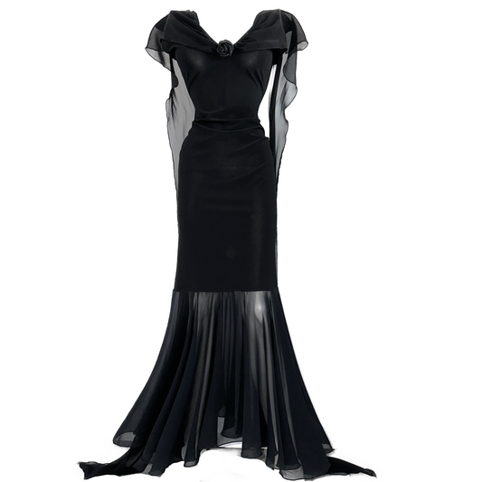 + Vintage dress with mesh cape +