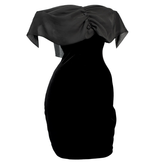 + Velvet roses dress +